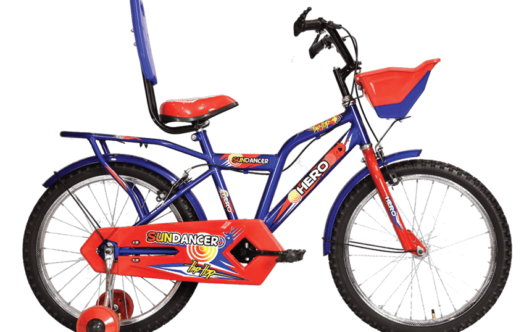 6 year boy cycle price